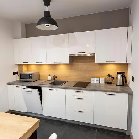 Tymon Apartament Przy Deptaku Bad Salzbrunn Exterior foto